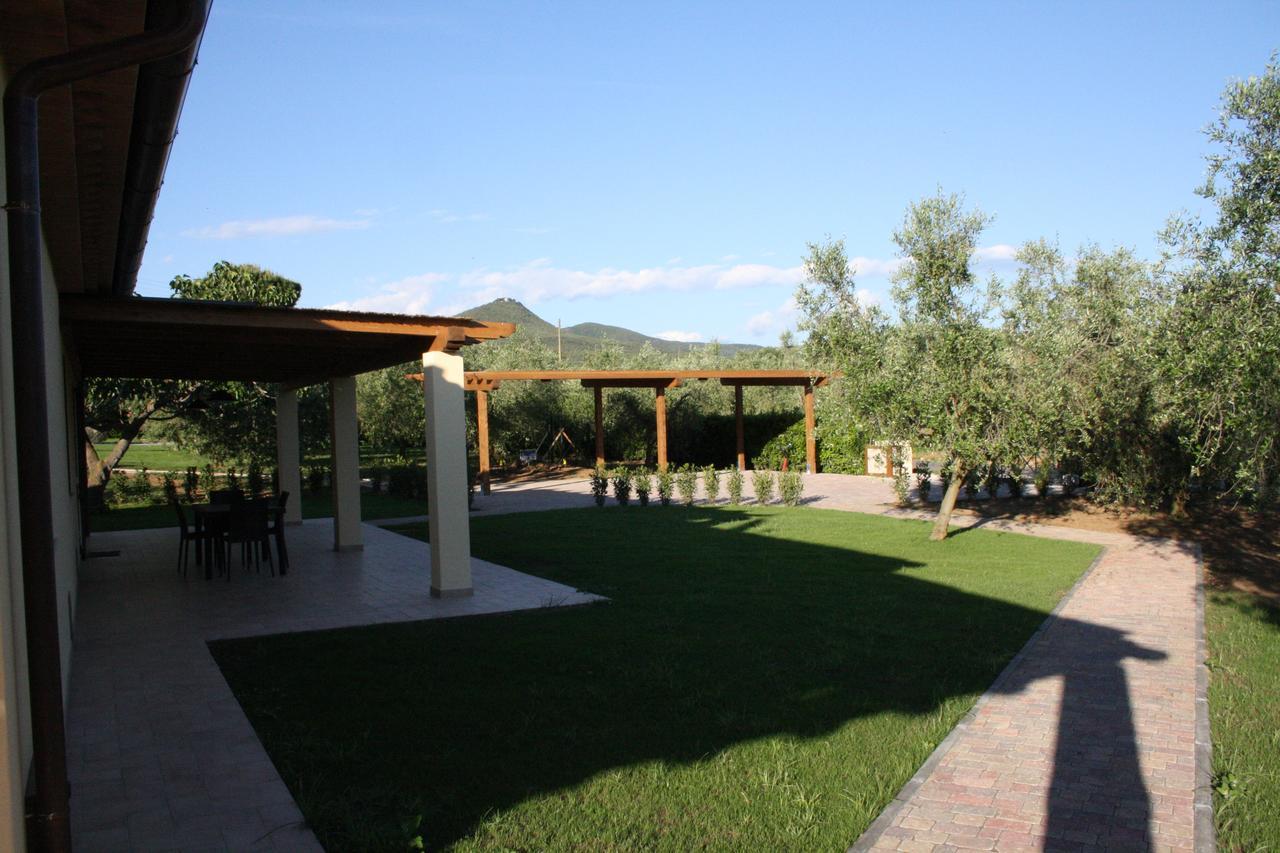 Agriturismo Dallolivo Bolgheri Exterior foto