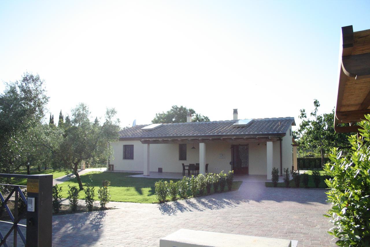 Agriturismo Dallolivo Bolgheri Exterior foto