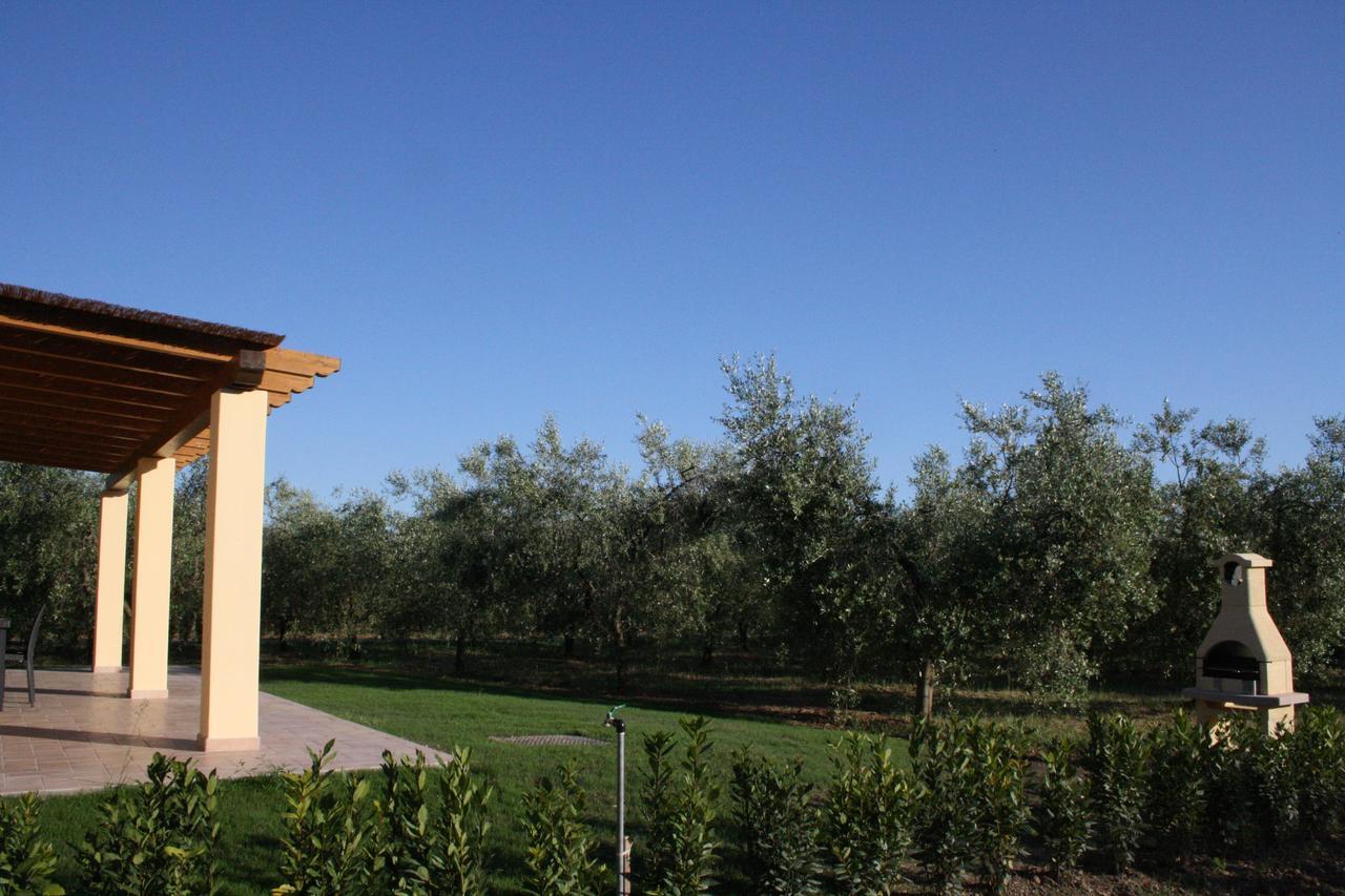 Agriturismo Dallolivo Bolgheri Exterior foto