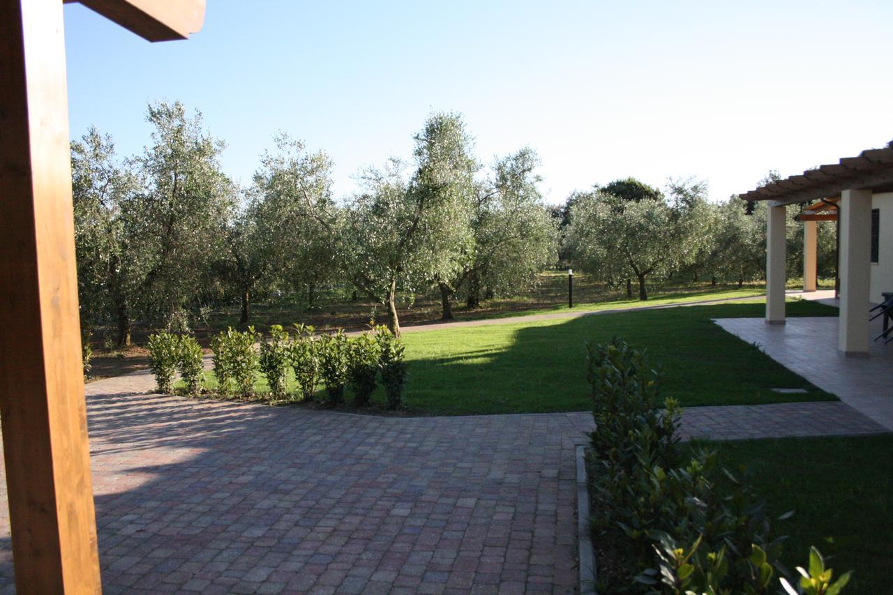 Agriturismo Dallolivo Bolgheri Exterior foto
