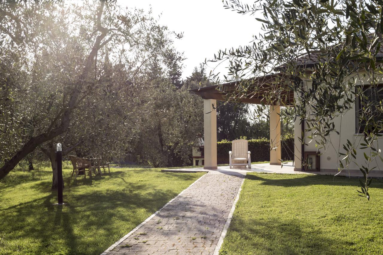 Agriturismo Dallolivo Bolgheri Exterior foto